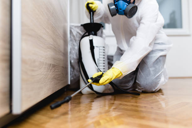 Best Residential Pest Control  in Rosanky, TX