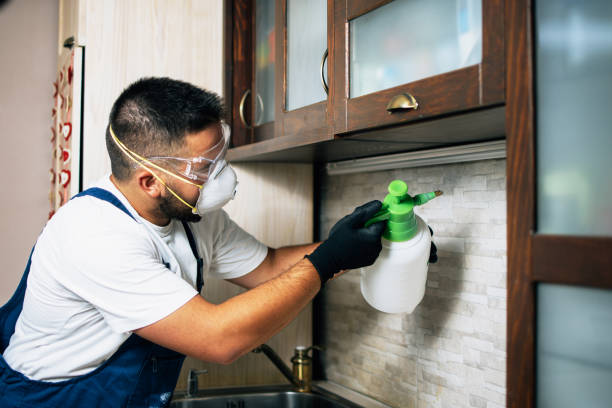 Professional Pest Control in Rosanky, TX