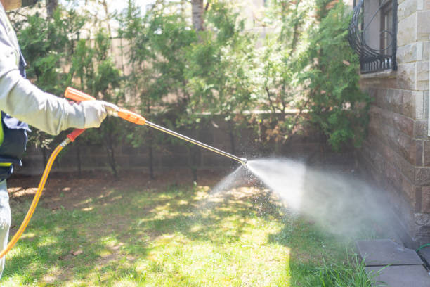 Best Pest Removal Services  in Rosanky, TX