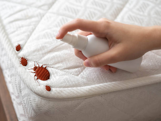 Best Pest Control Near Me  in Rosanky, TX