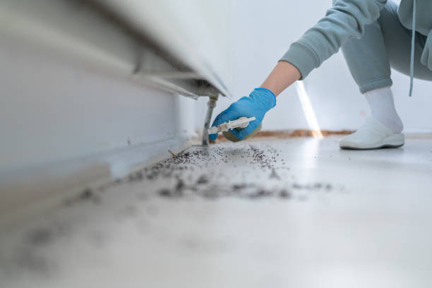 Pest Control for Restaurants in Rosanky, TX